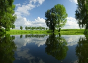 英雄联盟总决赛门票-入场券战争，当韩国淘汰喀麦隆，我们看到了奥运资格背后的全球体育政治