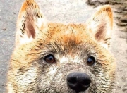 英雄联盟总决赛赛程-欧冠淘汰赛的南美风暴，特奥与乌拉圭双星联手主宰，米兰强势击溃拉齐奥