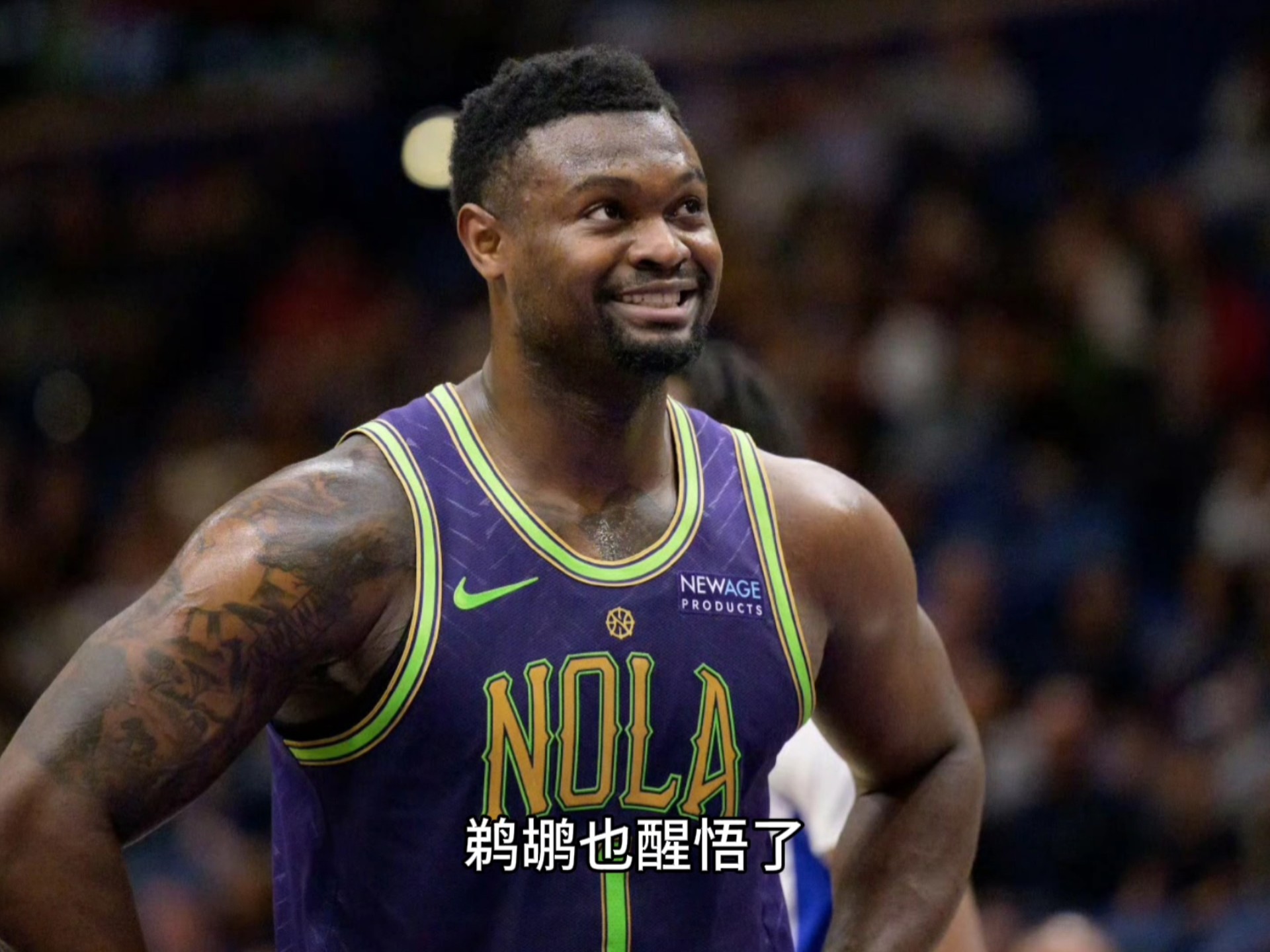 鹈鹕新秀赛季表现平稳,青年才俊显老成的简单介绍 鹈鹕新秀赛季表现平稳,青年才俊显老成的简单介绍