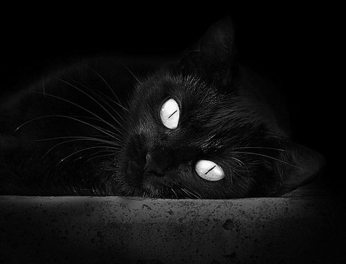 黄蜂刺穿山西铁幕,伦纳德41分风暴眼