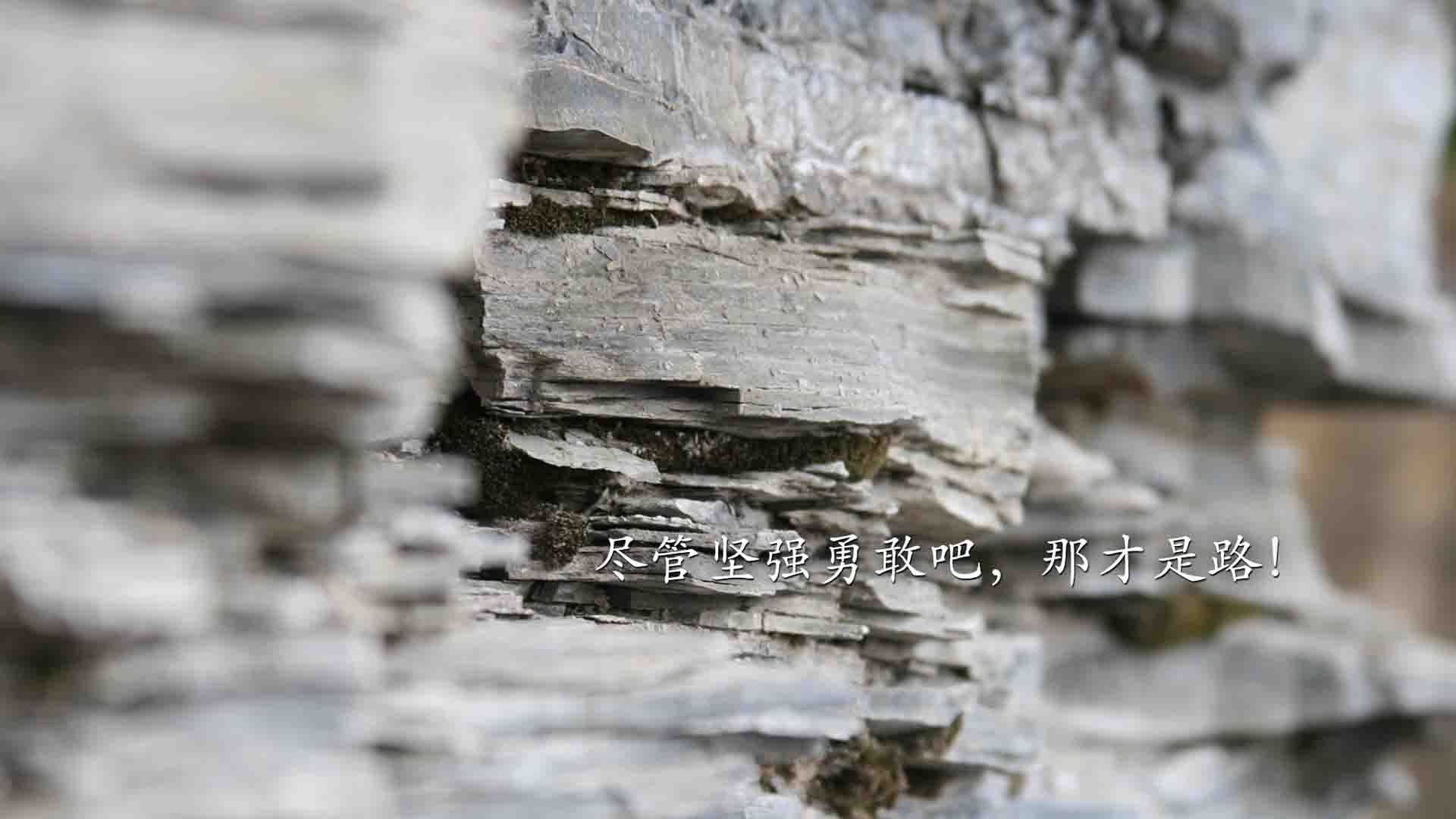 孔德，续航全场的战术锚点，罗马单节风暴击穿埃及防线