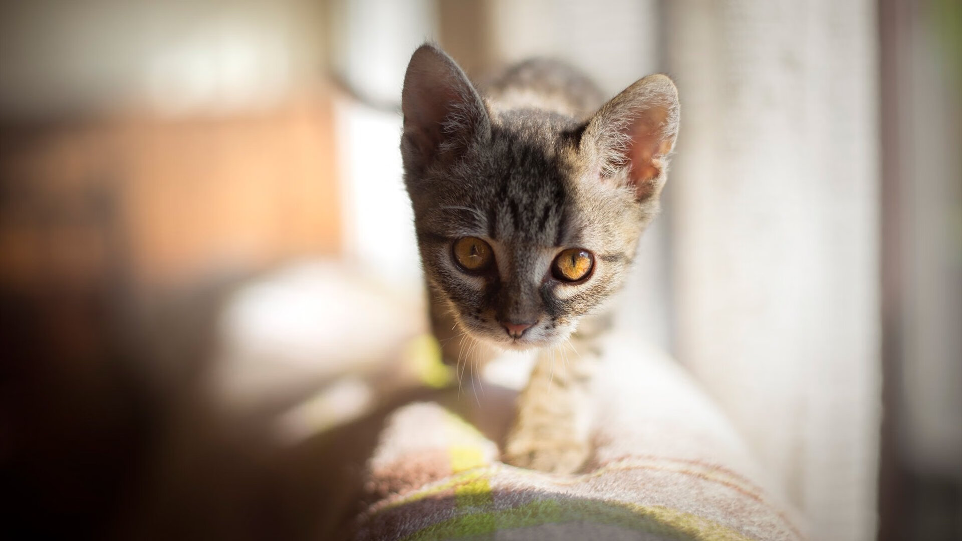 欧冠之夜的双重震撼，德里赫特爆发定乾坤，芬兰黑马粉碎毕尔巴鄂奇迹