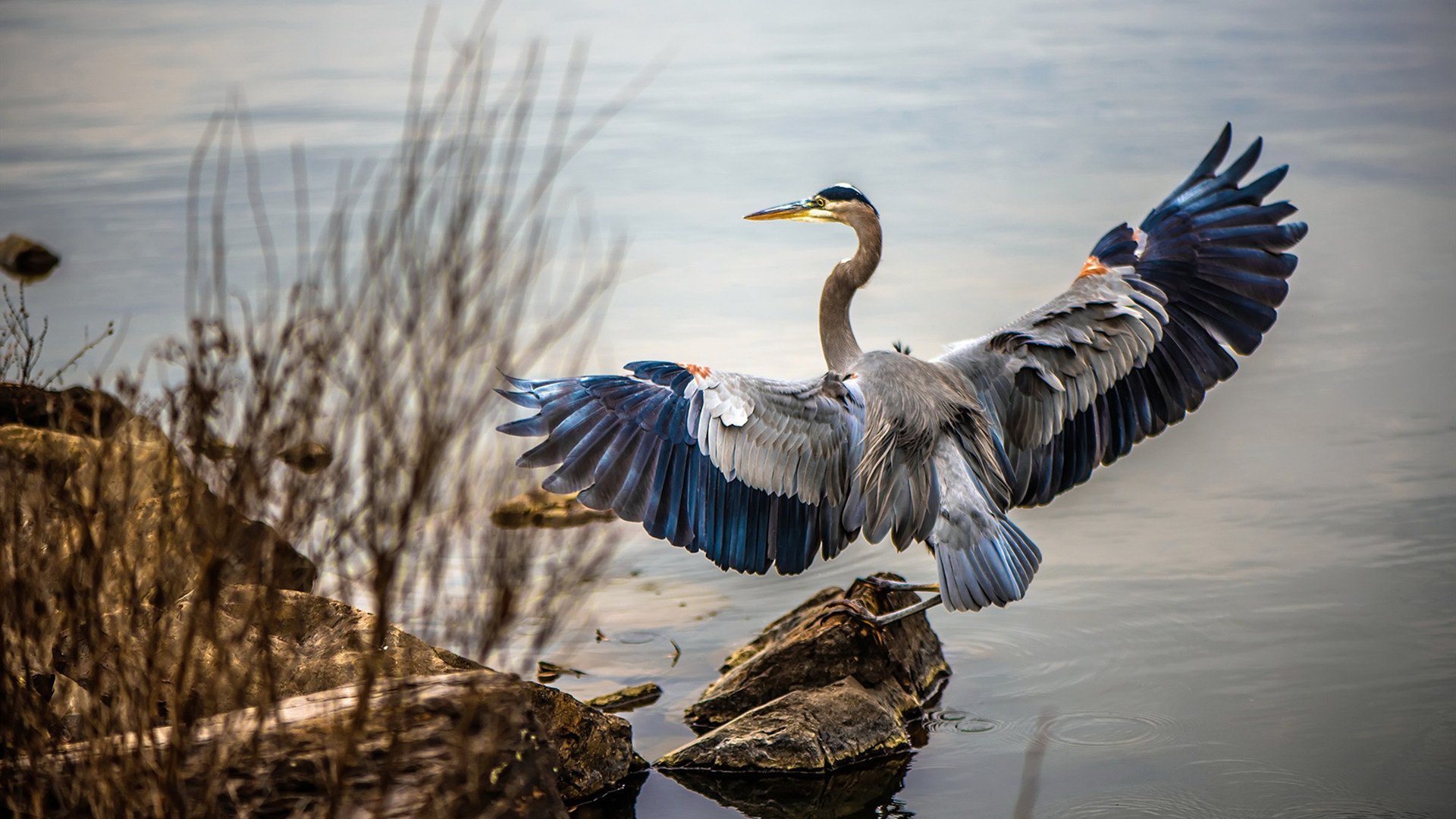 数据告诉你何为历史!4-1,世界排名100+的几内亚如何靠一个新楚阿梅尼掀翻墨西哥?