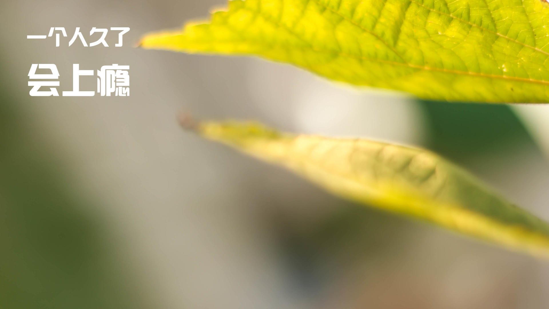 苏亚雷斯的节奏交响曲，尼日利亚对阵挪威的唯一主宰