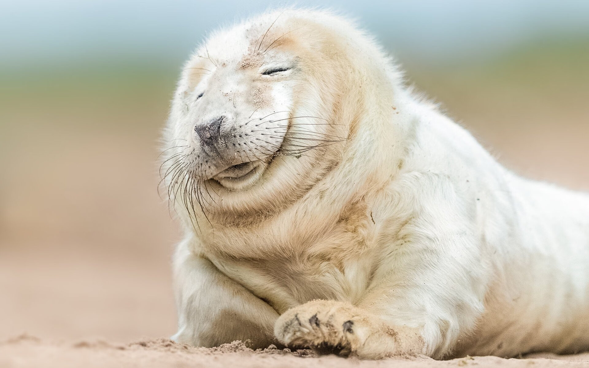 慈善之夜唯一对决，曼城众星遇威尔士传奇，努涅斯跨界惊艳四座