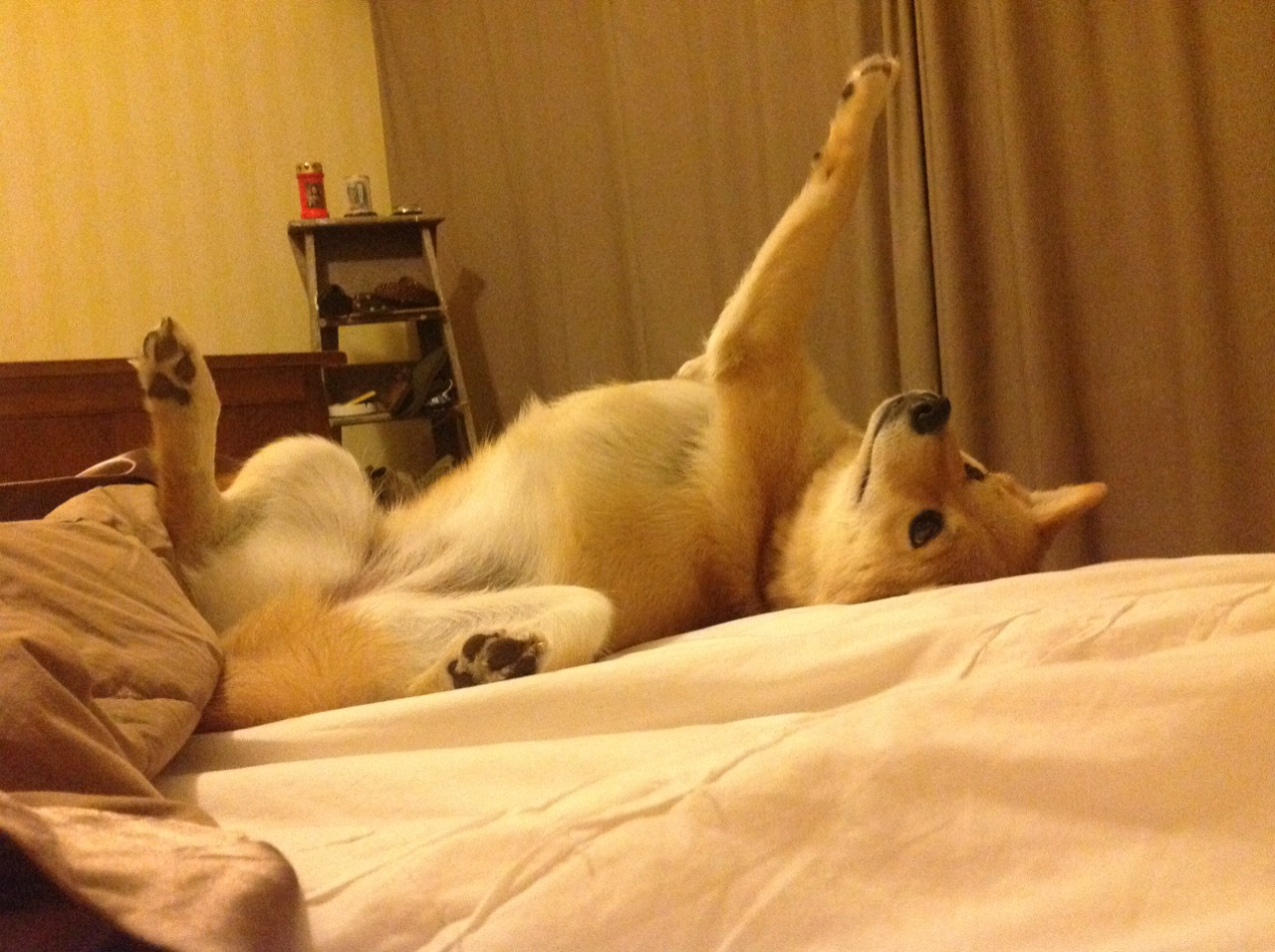 足球世界的双重奏，巴西提前终结悬念中国，楚阿梅尼欧冠半决赛接管比赛